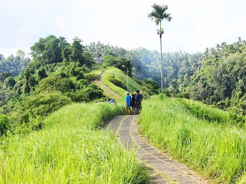 Tutick House Apartment Ubud  Homestay Ubud (Bali)